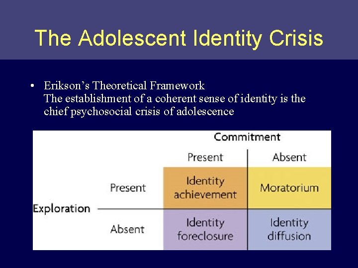 The Adolescent Identity Crisis • Erikson’s Theoretical Framework The establishment of a coherent sense