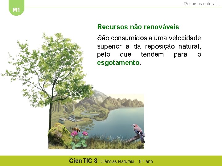 Recursos naturais M 1 Recursos não renováveis São consumidos a uma velocidade superior à