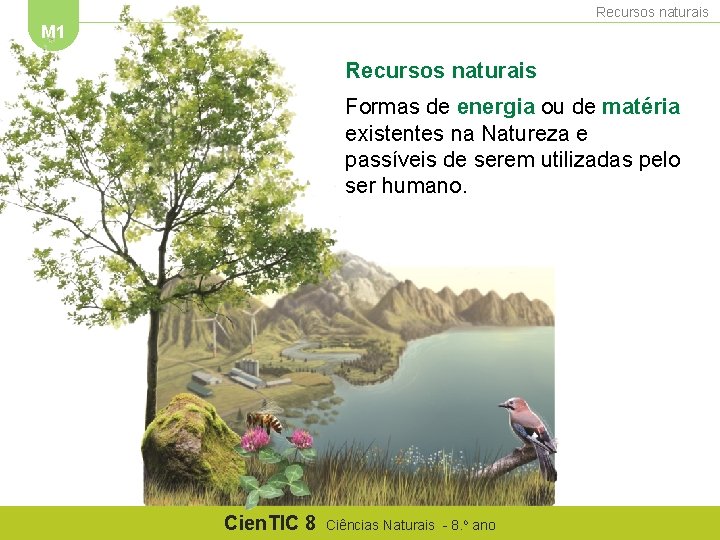 Recursos naturais M 1 Recursos naturais Formas de energia ou de matéria existentes na