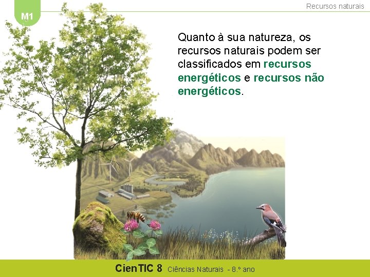 Recursos naturais M 1 Quanto à sua natureza, os recursos naturais podem ser classificados