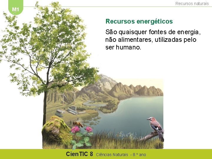 Recursos naturais M 1 Recursos energéticos São quaisquer fontes de energia, não alimentares, utilizadas