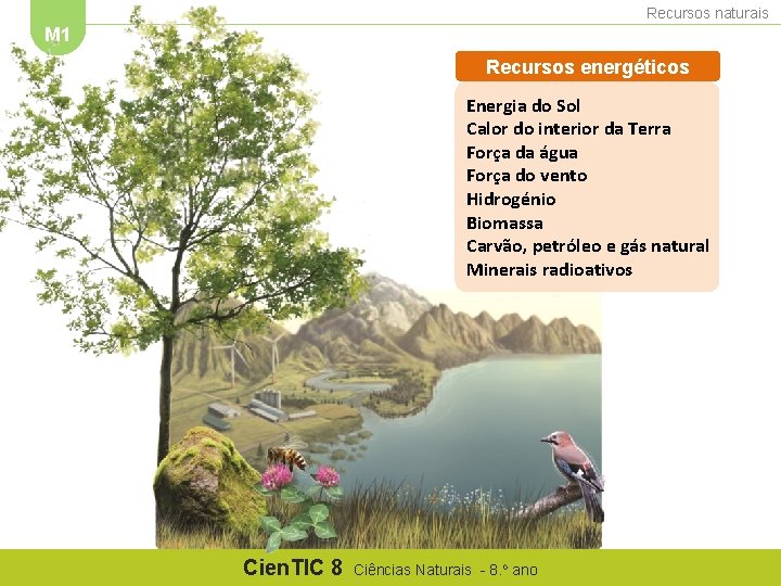 Recursos naturais M 1 Recursos energéticos Energia do Sol Calor do interior da Terra