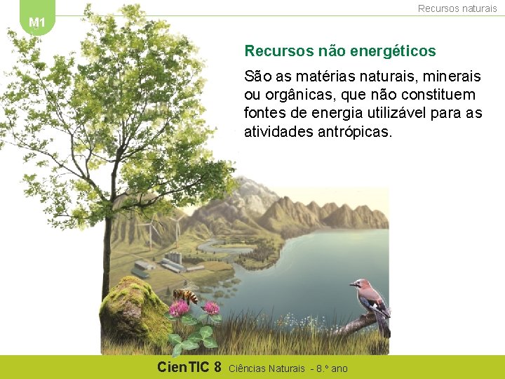 Recursos naturais M 1 Recursos não energéticos São as matérias naturais, minerais ou orgânicas,