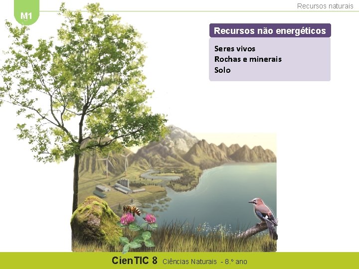 Recursos naturais M 1 Recursos não energéticos Seres vivos Rochas e minerais Solo Cien.