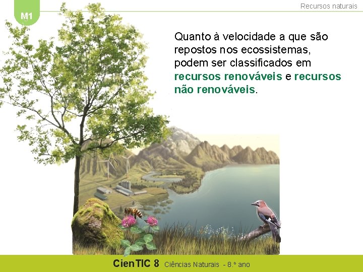 Recursos naturais M 1 Quanto à velocidade a que são repostos nos ecossistemas, podem