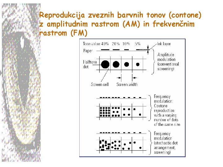 Reprodukcija zveznih barvnih tonov (contone) z amplitudnim rastrom (AM) in frekvenčnim rastrom (FM) 