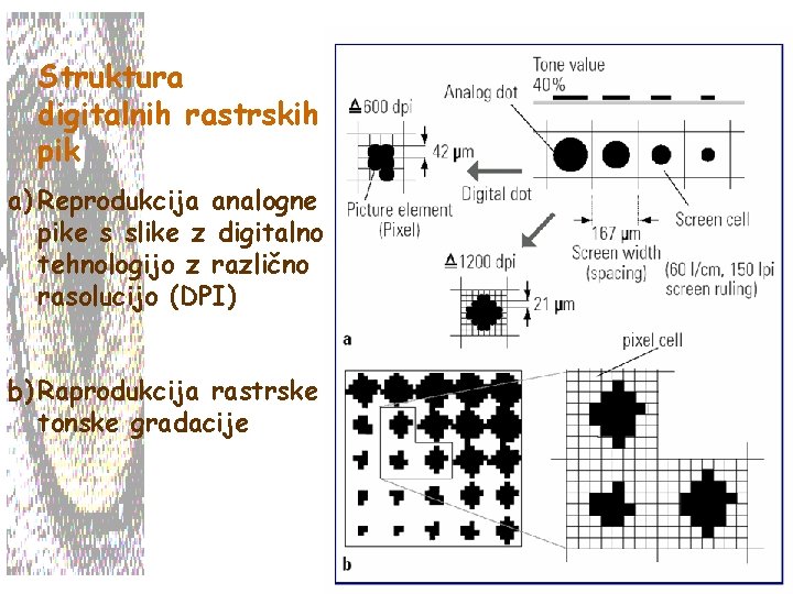 Struktura digitalnih rastrskih pik a) Reprodukcija analogne pike s slike z digitalno tehnologijo z
