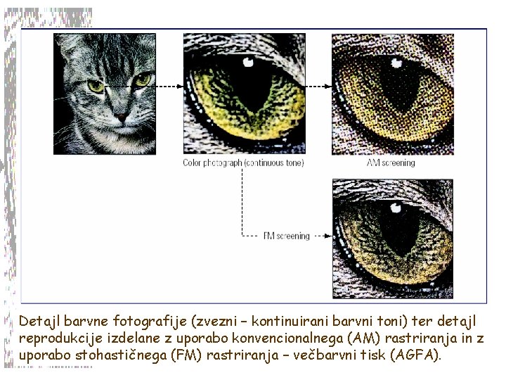 Detajl barvne fotografije (zvezni – kontinuirani barvni toni) ter detajl reprodukcije izdelane z uporabo