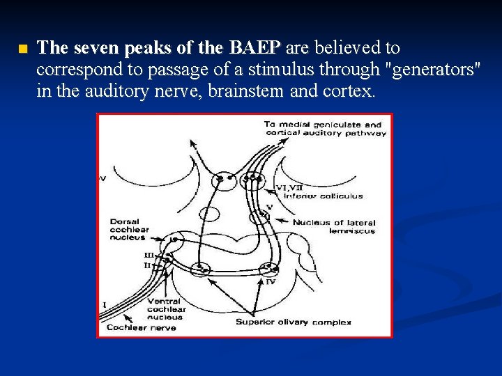  The seven peaks of the BAEP are believed to correspond to passage of