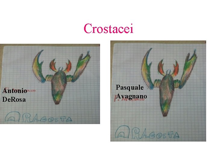 Crostacei Antonio De. Rosa Pasquale Avagnano 