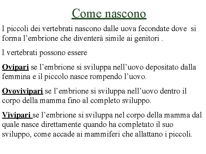 Come nascono I piccoli dei vertebrati nascono dalle uova fecondate dove si forma l’embrione