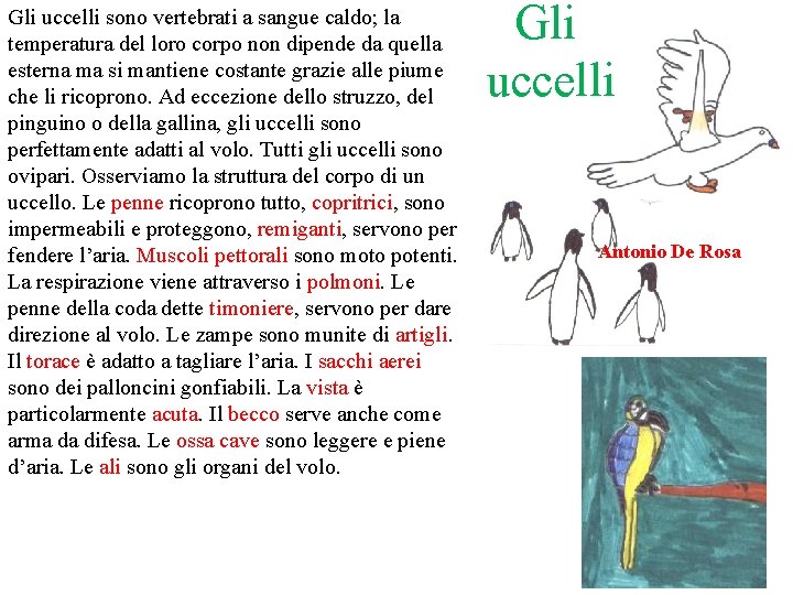 Gli uccelli sono vertebrati a sangue caldo; la temperatura del loro corpo non dipende