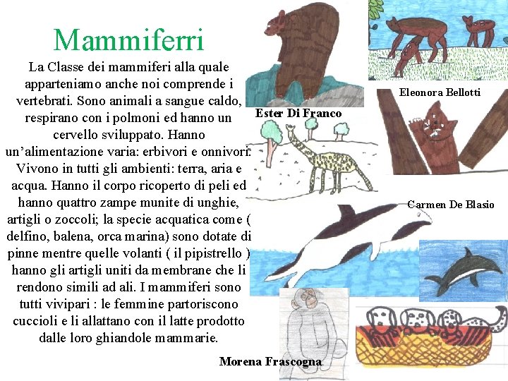 Mammiferri La Classe dei mammiferi alla quale apparteniamo anche noi comprende i vertebrati. Sono