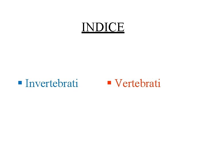 INDICE § Invertebrati § Vertebrati 