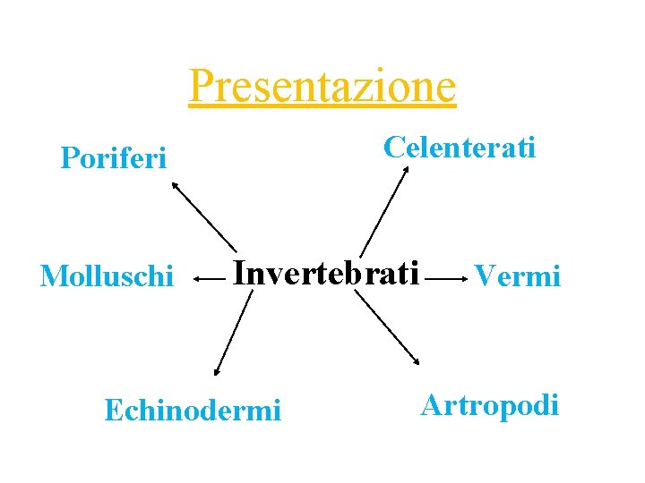 Presentazione Celenterati Poriferi Molluschi Invertebrati Echinodermi Vermi Artropodi 