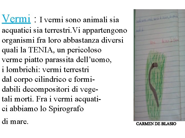 Vermi : I vermi sono animali sia acquatici sia terrestri. Vi appartengono organismi fra