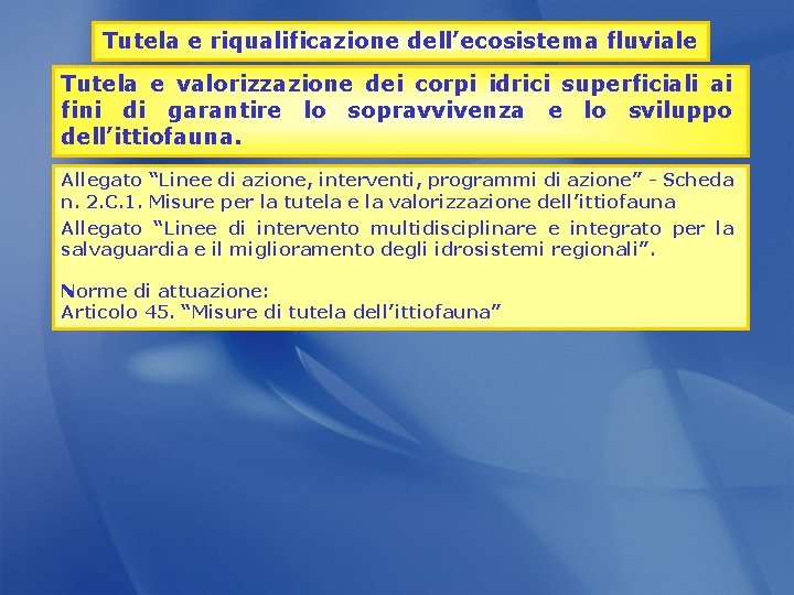 Tutela e riqualificazione dell’ecosistema fluviale Tutela e valorizzazione dei corpi idrici superficiali ai fini