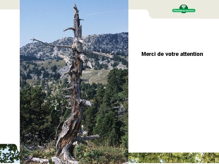 Réseau des réserves biologiques forestières de Rhône-Alpes / septembre 2014 Merci de votre attention