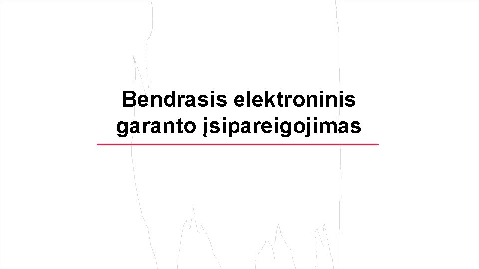 Bendrasis elektroninis garanto įsipareigojimas 