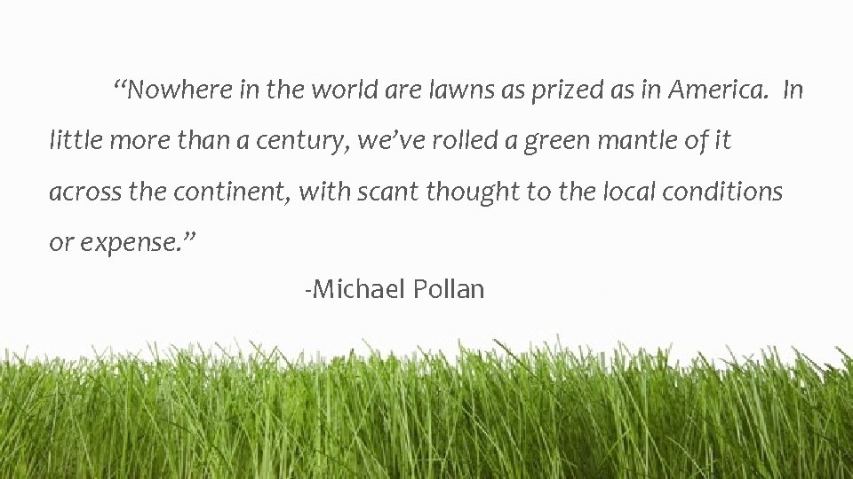 “Nowhere in the world are lawns as prized as in America. In little more