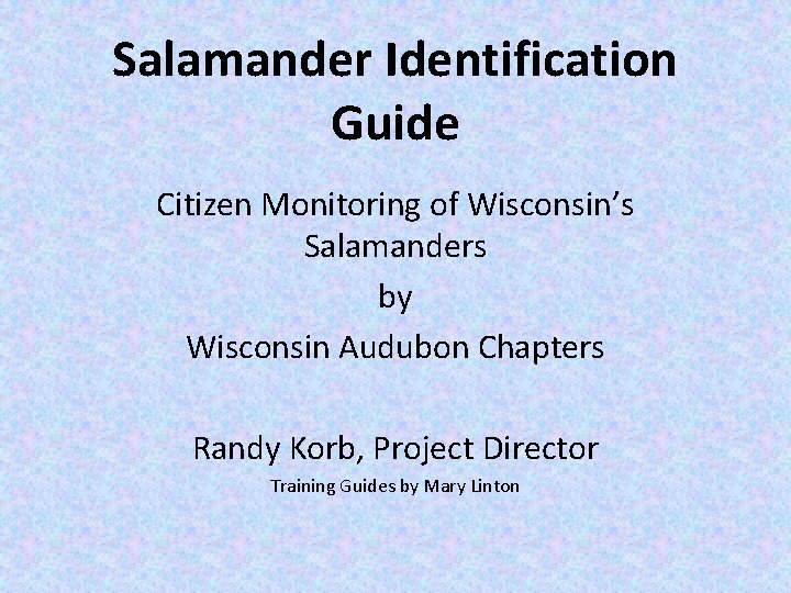 Salamander Identification Guide Citizen Monitoring of Wisconsin’s Salamanders by Wisconsin Audubon Chapters Randy Korb,
