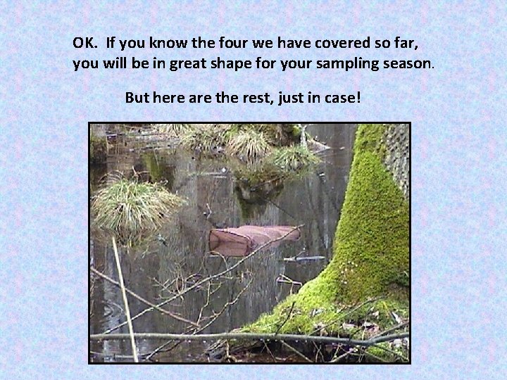 OK. If you know the four we have covered so far, you will be