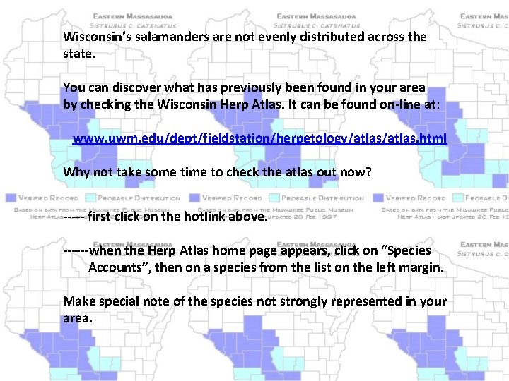 Wisconsin’s salamanders are not evenly distributed across the state. You can discover what has