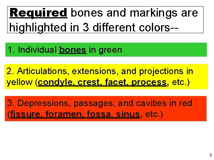 Required bones and markings are highlighted in 3 different colors-1. Individual bones in green