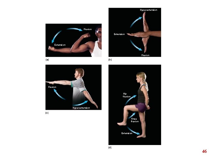Hyperextension Flexion Extension Flexion (a) (b) Flexion Hip flexion Hyperextension (c) Knee flexion Extension