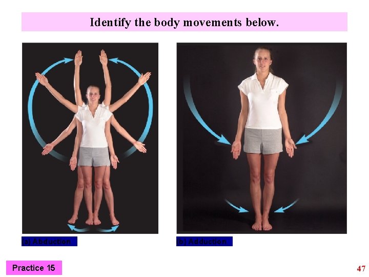 Identify the body movements below. (a) Abduction Practice 15 (b) Adduction 47 