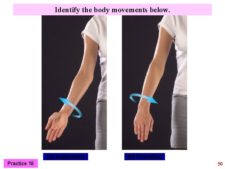 Identify the body movements below. (a) Supination Practice 18 (b) Pronation 50 