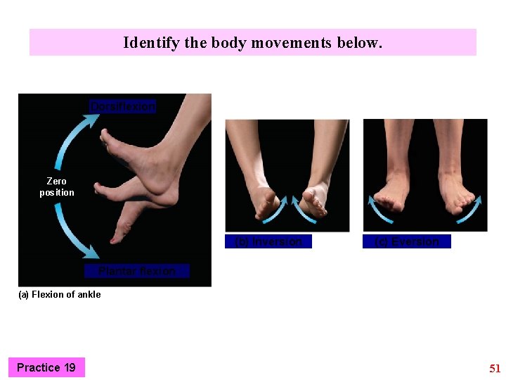 Identify the body movements below. Dorsiflexion Zero position (b) Inversion (c) Eversion Plantar flexion
