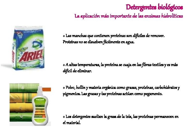 Detergentes biológicos La aplicación más importante de las enzimas hidrolíticas + Las manchas que
