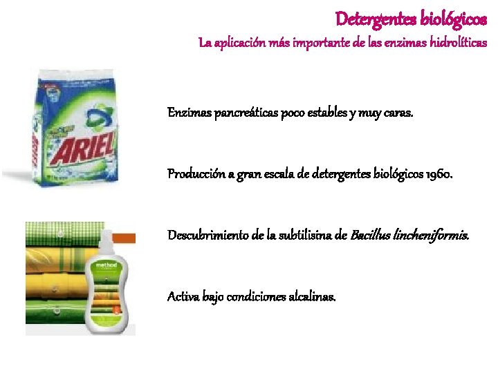 Detergentes biológicos La aplicación más importante de las enzimas hidrolíticas Enzimas pancreáticas poco estables