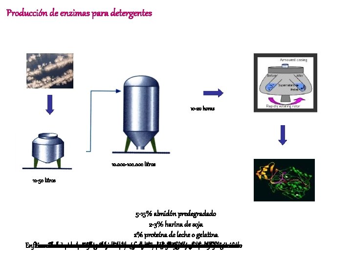 Producción de enzimas para detergentes 10 -20 horas 10. 000 -100. 000 litros 10