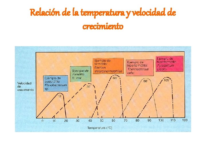 Relación de la temperatura y velocidad de crecimiento 