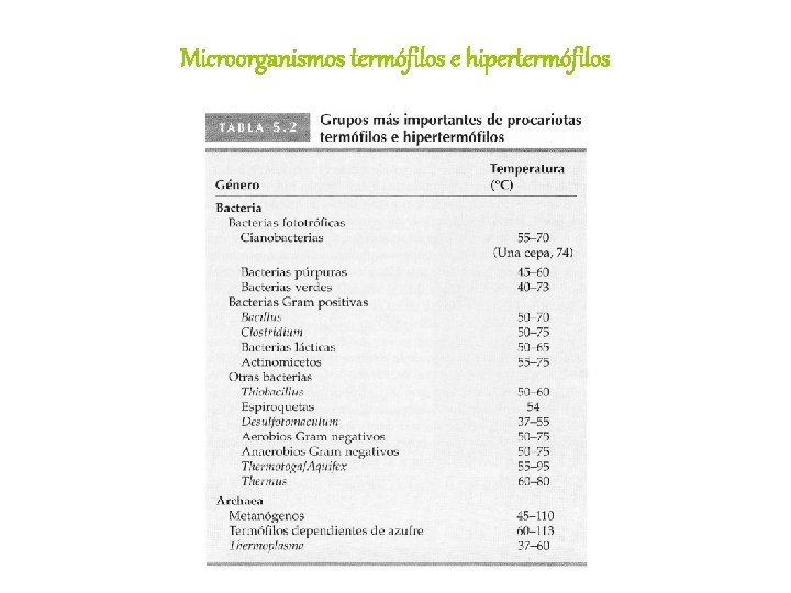 Microorganismos termófilos e hipertermófilos 