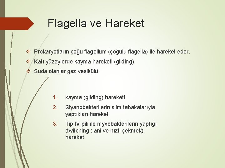 Flagella ve Hareket Prokaryotların çoğu flagellum (çoğulu flagella) ile hareket eder. Katı yüzeylerde kayma Flagella ve Hareket Prokaryotların çoğu flagellum (çoğulu flagella) ile hareket eder. Katı yüzeylerde kayma