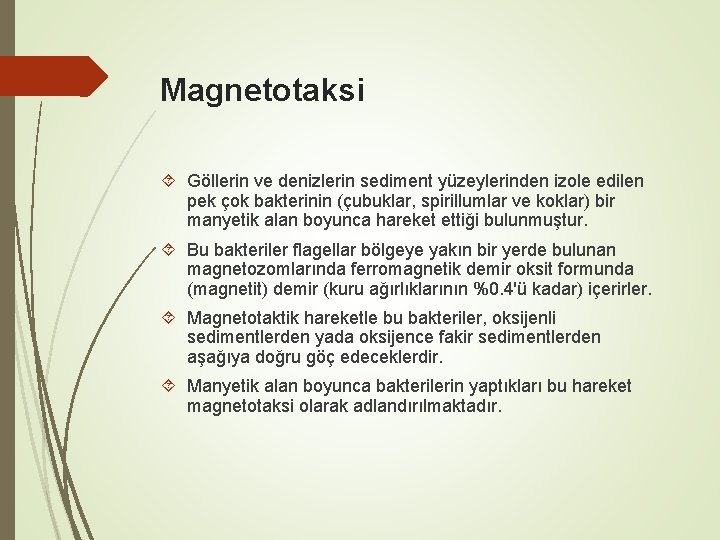 Magnetotaksi Göllerin ve denizlerin sediment yüzeylerinden izole edilen pek çok bakterinin (çubuklar, spirillumlar ve Magnetotaksi Göllerin ve denizlerin sediment yüzeylerinden izole edilen pek çok bakterinin (çubuklar, spirillumlar ve