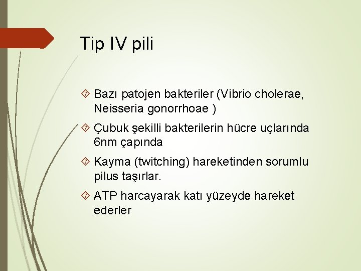 Tip IV pili Bazı patojen bakteriler (Vibrio cholerae, Neisseria gonorrhoae ) Çubuk şekilli bakterilerin Tip IV pili Bazı patojen bakteriler (Vibrio cholerae, Neisseria gonorrhoae ) Çubuk şekilli bakterilerin