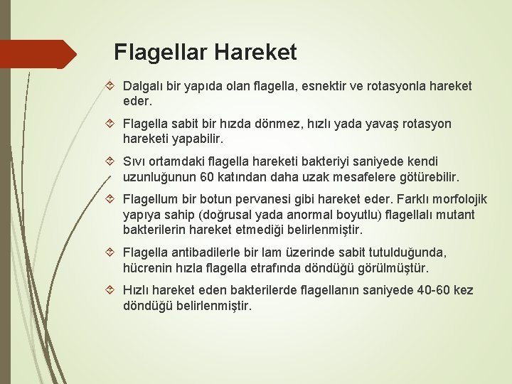 Flagellar Hareket Dalgalı bir yapıda olan flagella, esnektir ve rotasyonla hareket eder. Flagella sabit Flagellar Hareket Dalgalı bir yapıda olan flagella, esnektir ve rotasyonla hareket eder. Flagella sabit