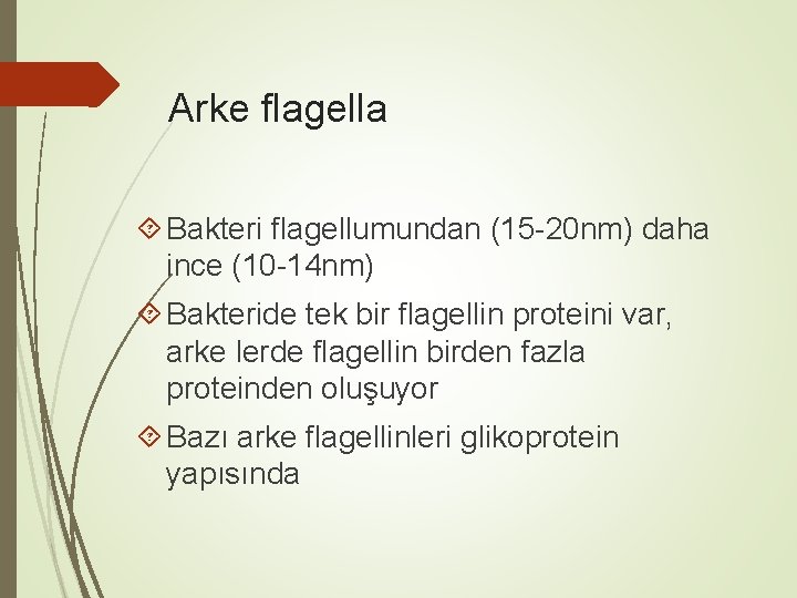 Arke flagella Bakteri flagellumundan (15 -20 nm) daha ince (10 -14 nm) Bakteride tek Arke flagella Bakteri flagellumundan (15 -20 nm) daha ince (10 -14 nm) Bakteride tek