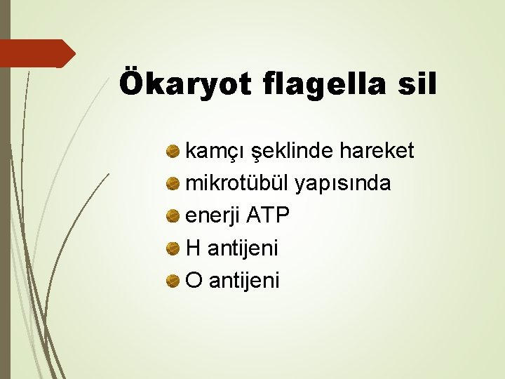 Ökaryot flagella sil kamçı şeklinde hareket mikrotübül yapısında enerji ATP H antijeni O antijeni Ökaryot flagella sil kamçı şeklinde hareket mikrotübül yapısında enerji ATP H antijeni O antijeni