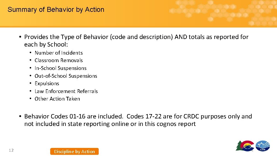 Summary of Behavior by Action • Provides the Type of Behavior (code and description)