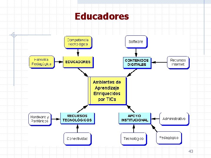 Educadores 43 