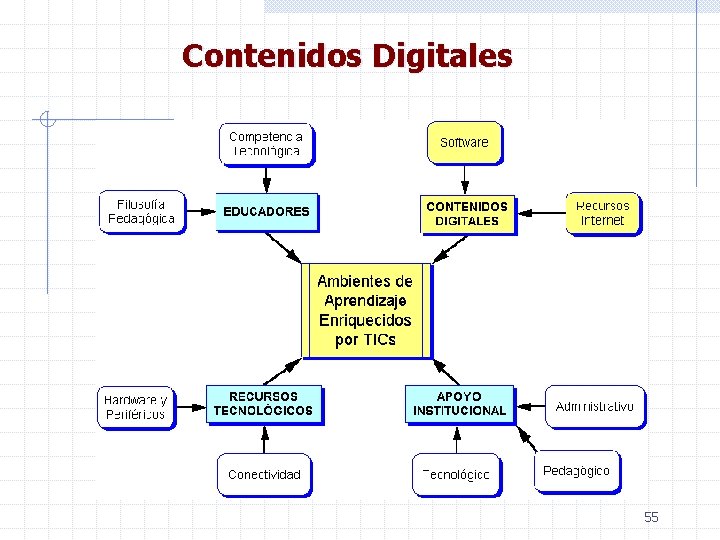 Contenidos Digitales 55 