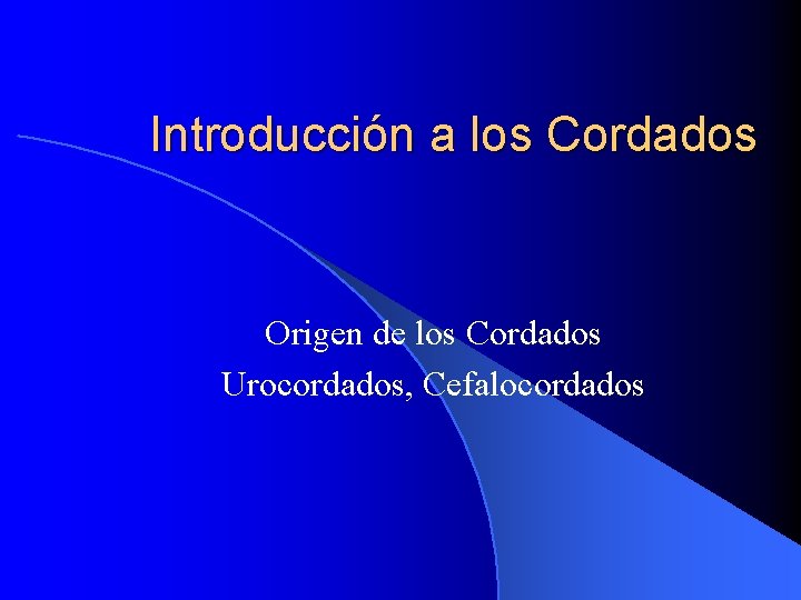 Introducción a los Cordados Origen de los Cordados Urocordados, Cefalocordados 