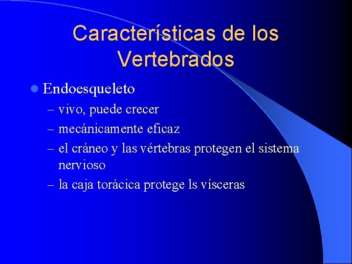 Características de los Vertebrados l Endoesqueleto – vivo, puede crecer – mecánicamente eficaz –