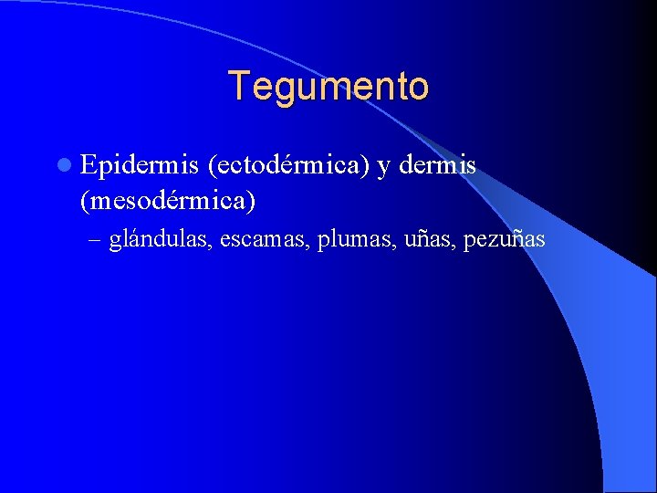 Tegumento l Epidermis (ectodérmica) y dermis (mesodérmica) – glándulas, escamas, plumas, uñas, pezuñas 