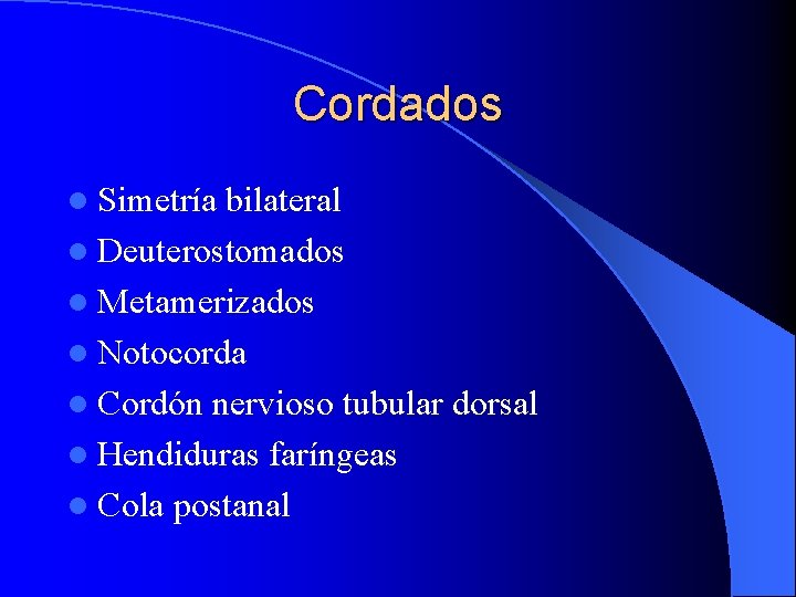 Cordados l Simetría bilateral l Deuterostomados l Metamerizados l Notocorda l Cordón nervioso tubular